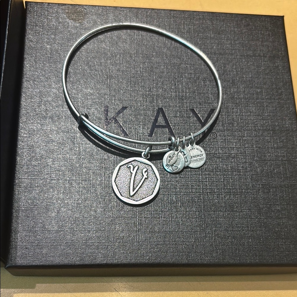 Alex and Ani Silver Charm Bracelet